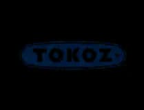 Tokoz